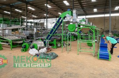 CASHEW NUT PROCESSING TECHNOLOGY IN VIET NAM 2024