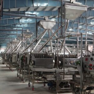 AUTOMATIC CASHEW SHELLING LINE MODEL MEKONG-2024