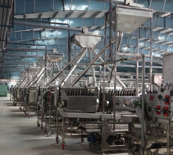 AUTOMATIC CASHEW SHELLING LINE MODEL MEKONG-2024