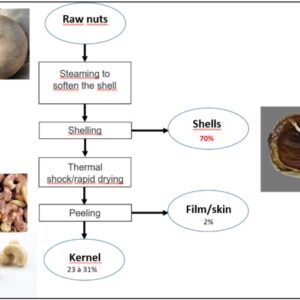 CASHEW ORGANIC FUMIGATION SYSTEM MEKONG-2024