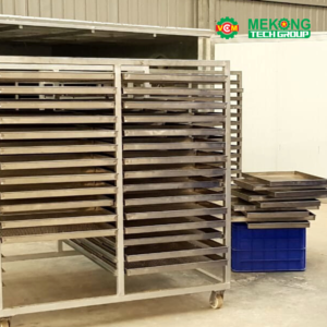 CASHEW NUT HUMIDIFICATION ROOM MODEL MEKONG-2024